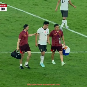 完美体育官方网站-英超球衣上的臂章数量及其代表意义解析